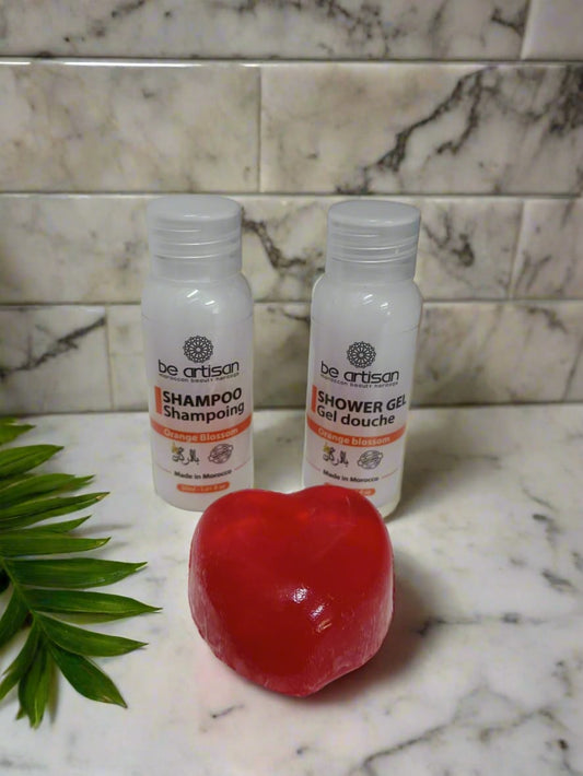 Travel Size Toiletry Set